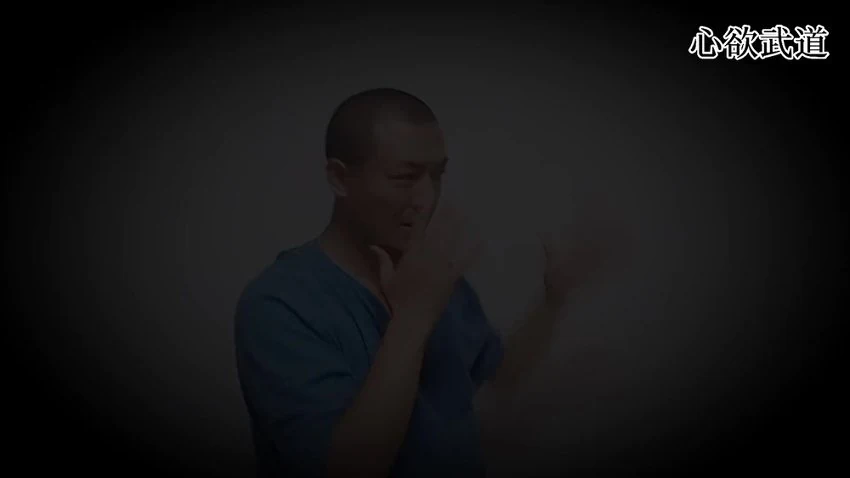 心欲武道《蝴蝶肘》视频37集