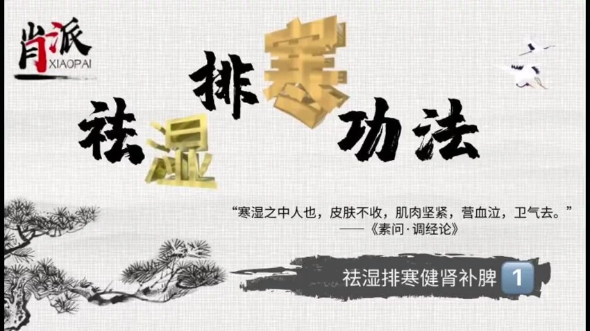 《肖派祛湿排寒功法》视频4集