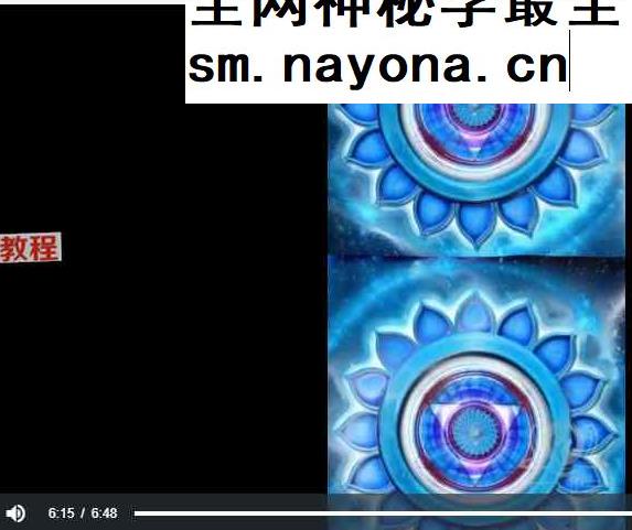 全身禅拍初级课程视频27集