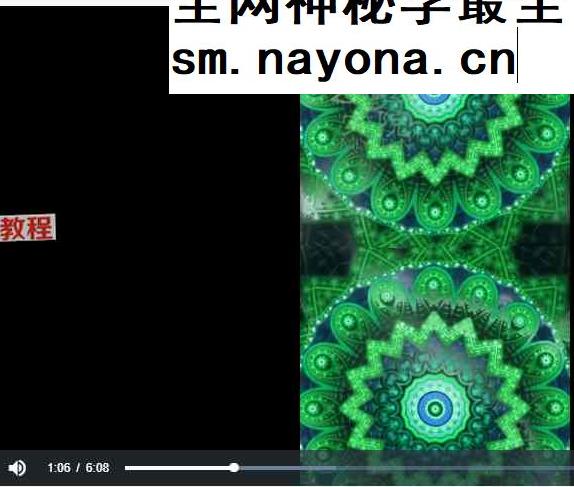 全身禅拍初级课程视频27集
