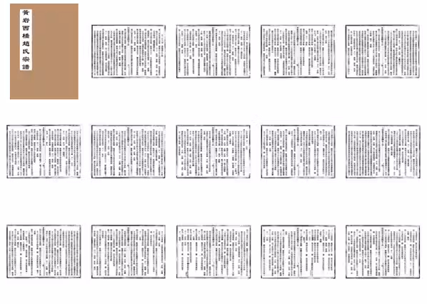 C0174_赵氏_西桥赵氏宗谱_十七.pdf[地方藏谱] - A更新