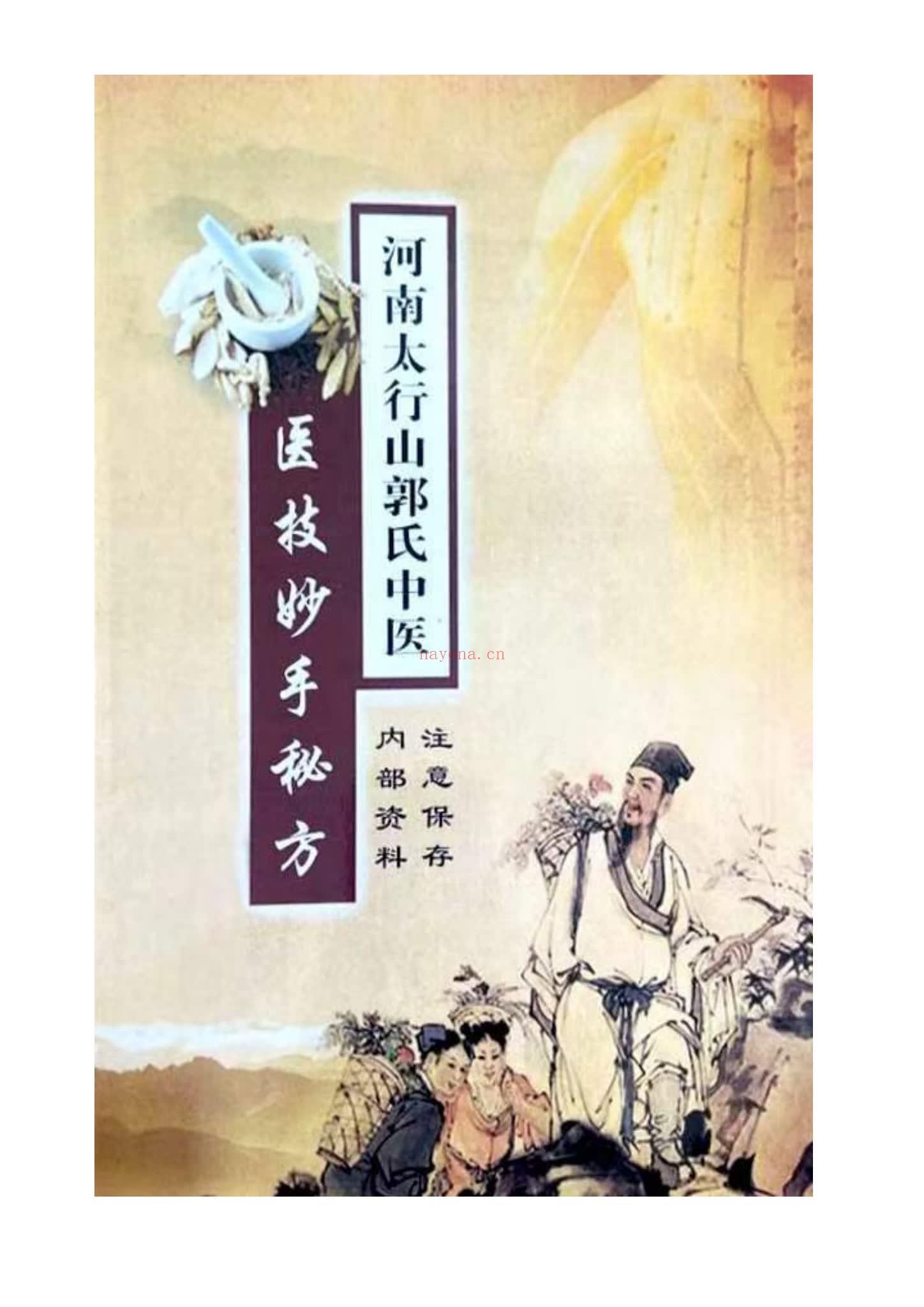 《医技妙手秘方》PDF电子书（252页）