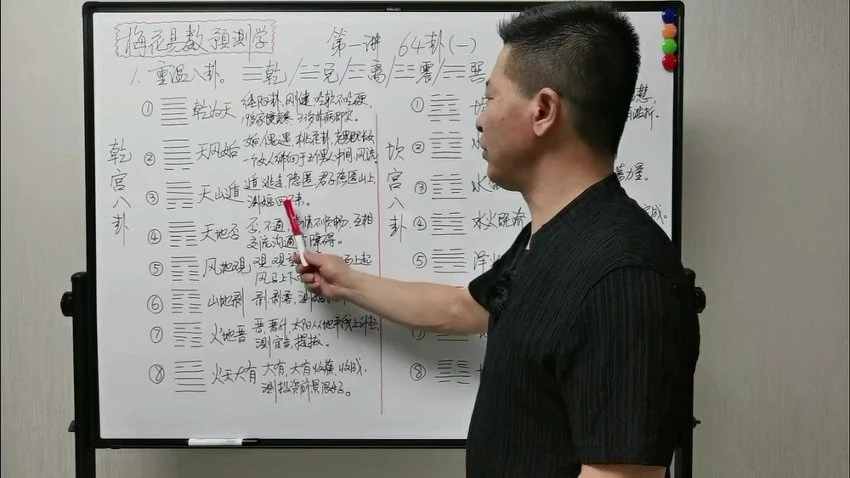 张老师《张老师讲梅花》视频23集