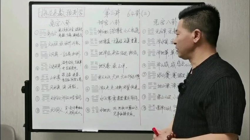 张老师《张老师讲梅花》视频23集