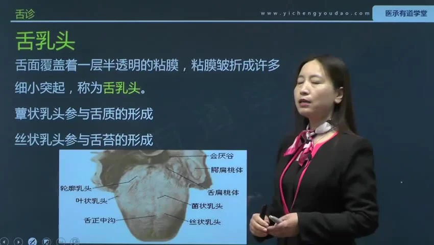 《中医四诊望闻问切28讲》视频28集