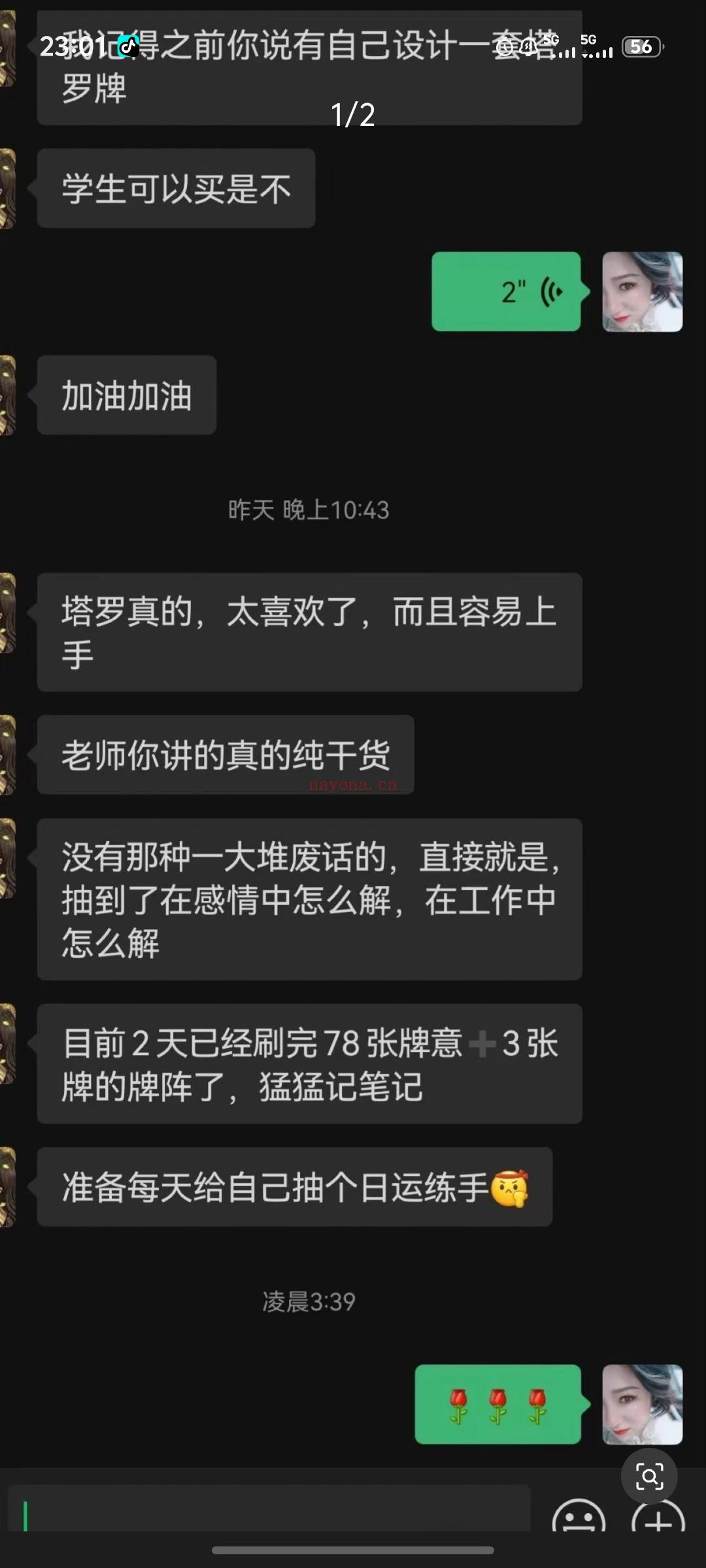 新手塔罗课程