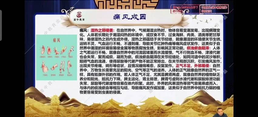 《道祖一消三愈针法》视频38集