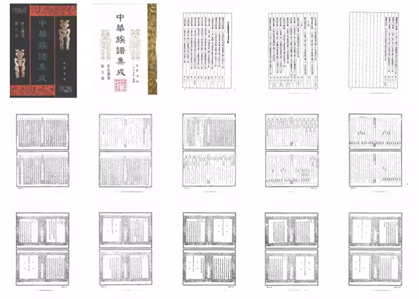 C0103_中华族谱集成_李氏谱卷_第九册.pdf[地方藏谱] - A更新