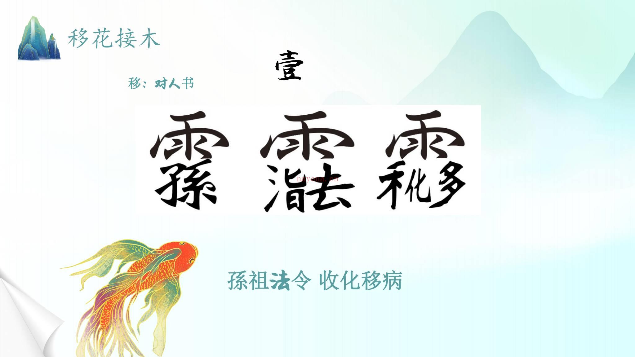 《法箜天医法1-5部合集》视频+课件
