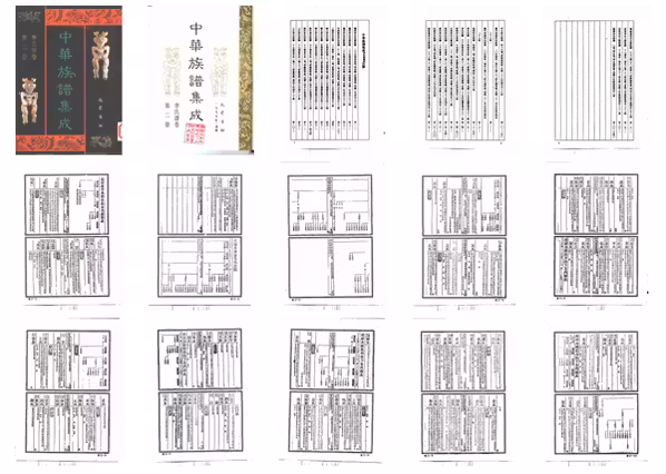 C0155_中华族谱集成 李氏谱卷 第二册.pdf[地方藏谱] - A更新