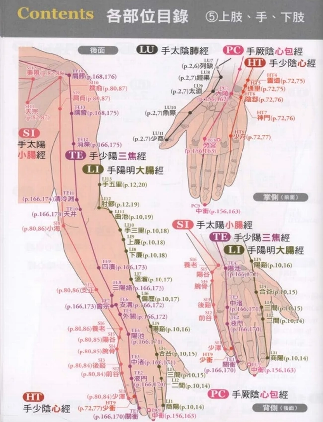经穴大全+超科学+3D经穴解剖全书插图 经穴大全+超科学+3D经穴解剖全书插图