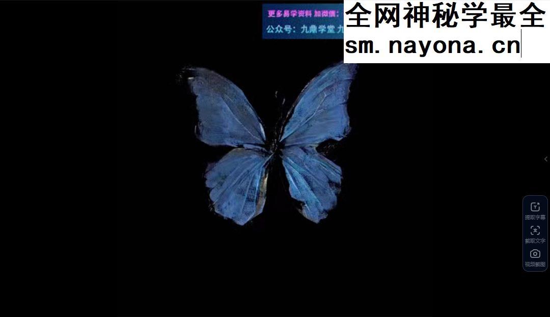 显化真爱冥想 视频+录音