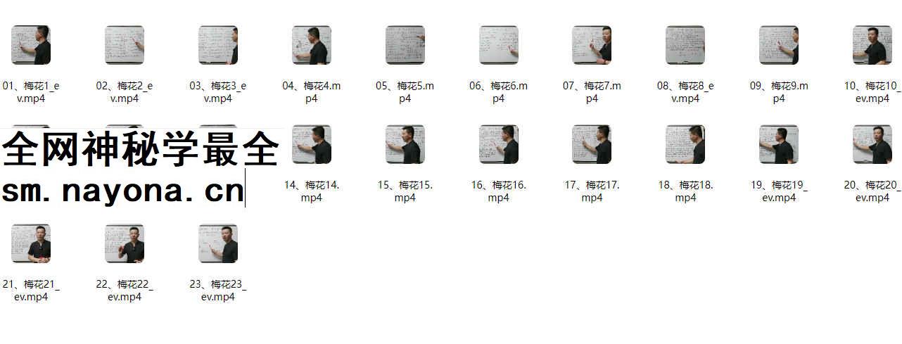 2604201张老师《张老师讲梅花》23集视频Y