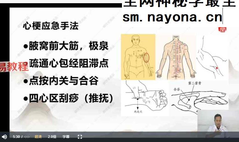 道祖一消三愈针法视频38集+课件