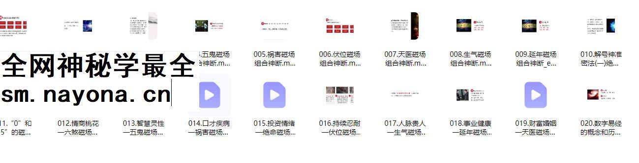2604199 尤尤数字易经专业课20集视频课Y