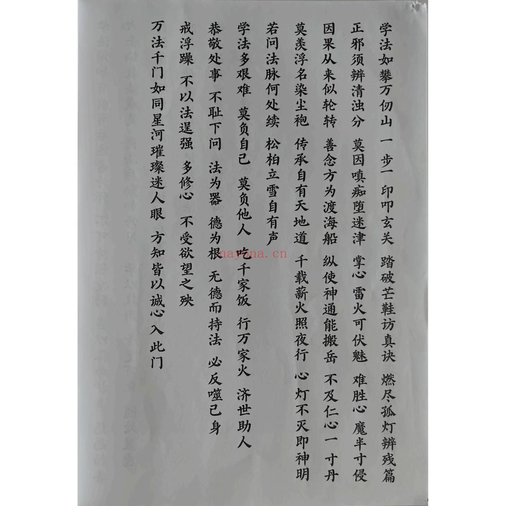 雷州六壬《雷州半岛仙教-雷州一脉仙法-雷州坛仙教-2册-+》PDF电子书（105页）