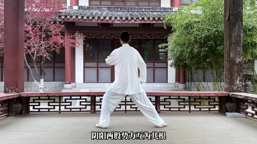 《炼神入道太极嫡传弟子班》视频89集