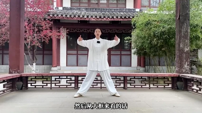 《炼神入道太极嫡传弟子班》视频89集