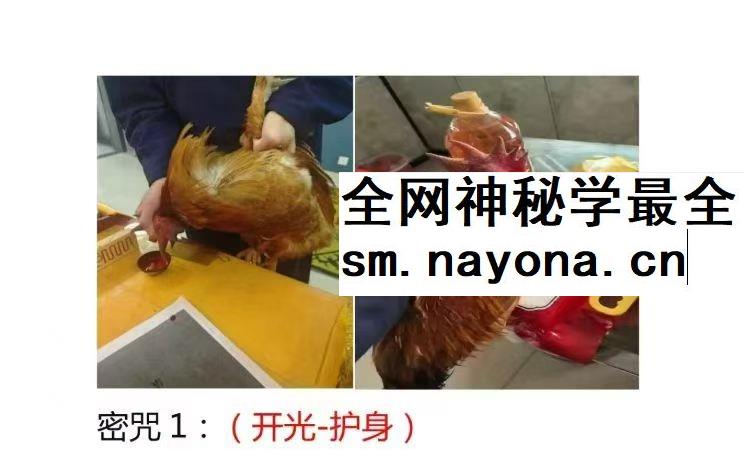 民间秘术 定鸡术pdf