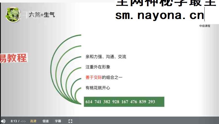 八星数字能量系列大课 叶佩伦 视频21集