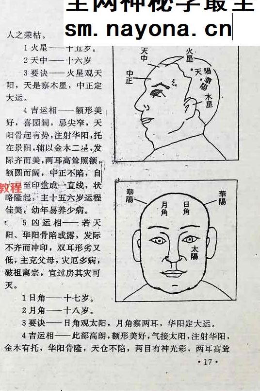 面相全书.pdf 309页