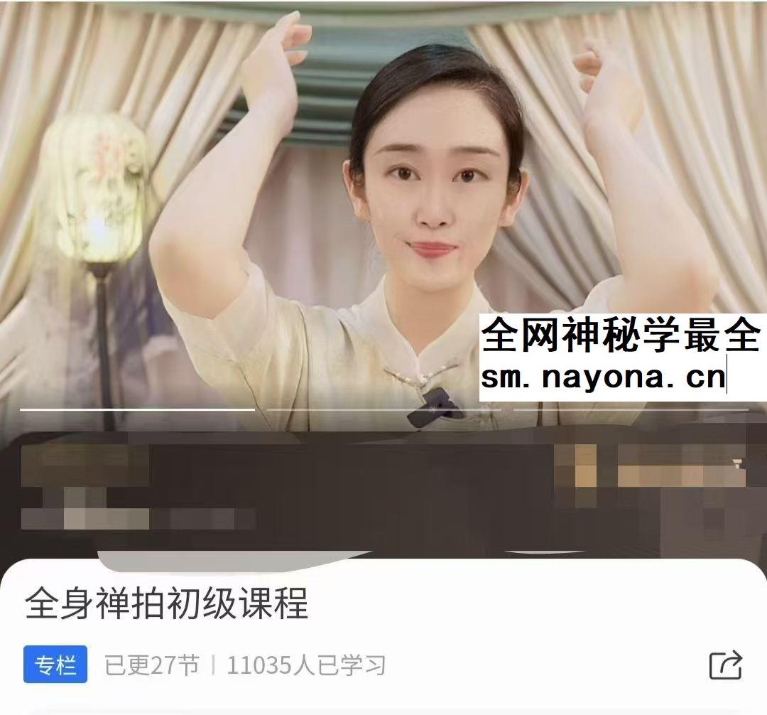 全身禅拍初级课程