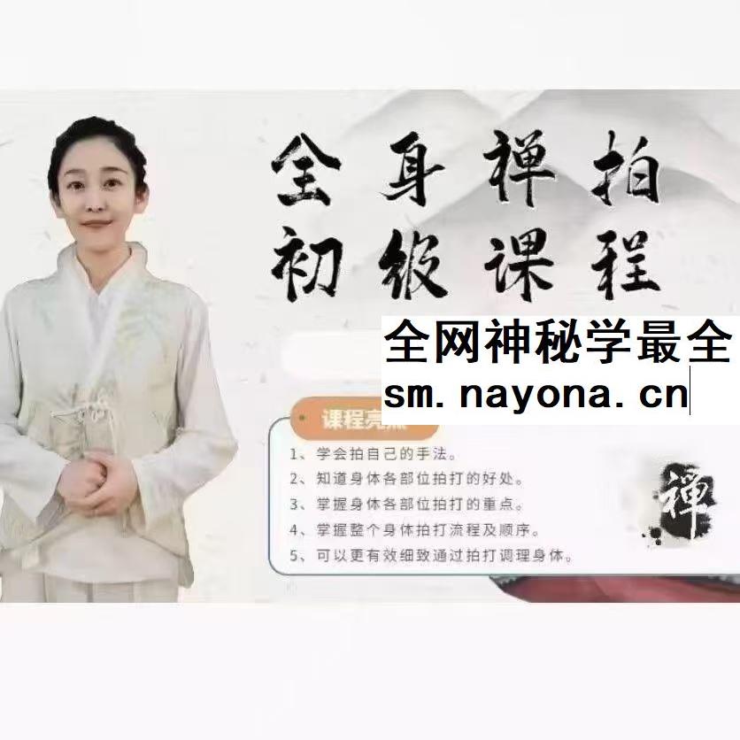 全身禅拍初级课程