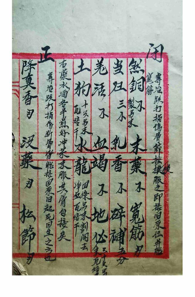 《祖传秘方跌打伤科》10