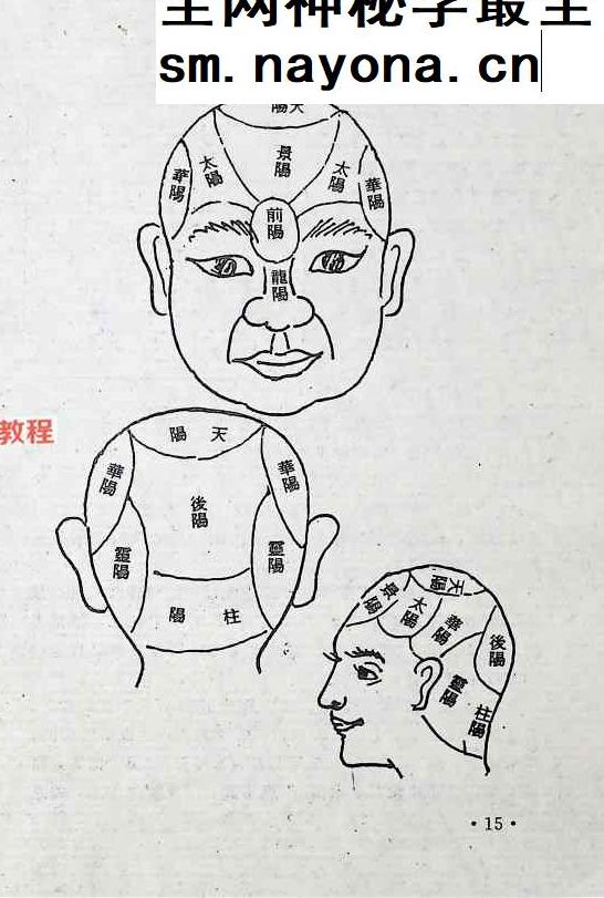 面相全书.pdf 309页