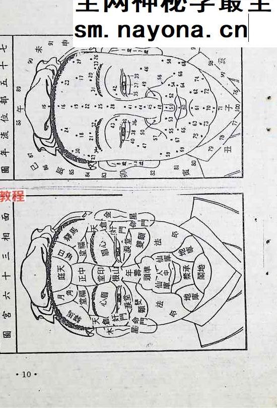 面相全书.pdf 309页