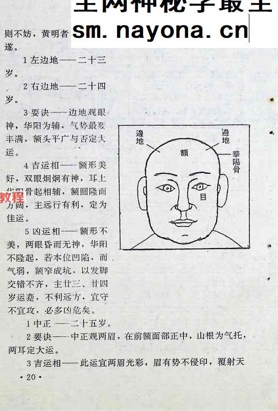 面相全书.pdf 309页
