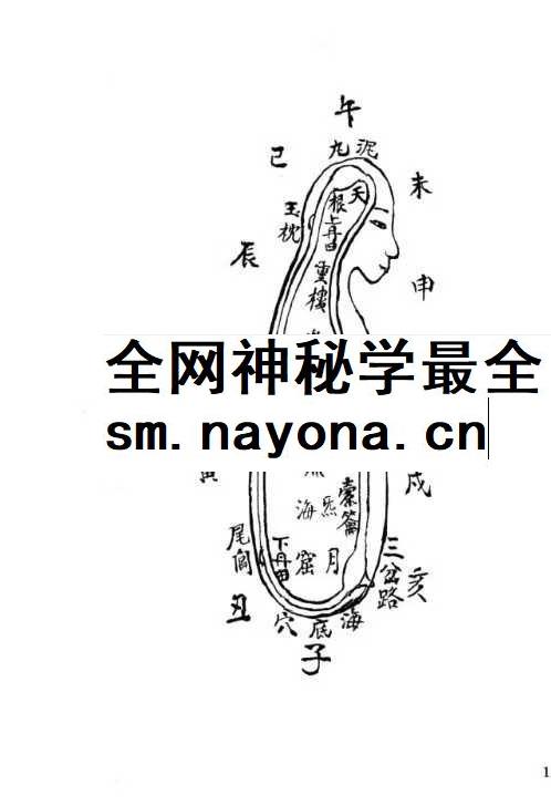 九天紫府金丹秘旨（上下册）
