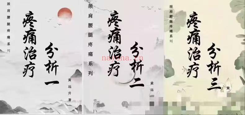 黄远升 颈肩腰腿疼痛治疗分析 三本精华
