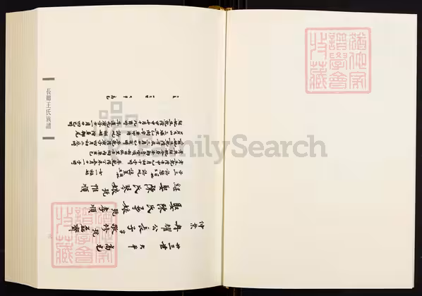 C0810_闽南涉台族谱汇编_第21册_长卿王氏族谱（八）_太原王氏族谱_石狮茂厦王氏族谱.pdf[地方藏谱] - A更新