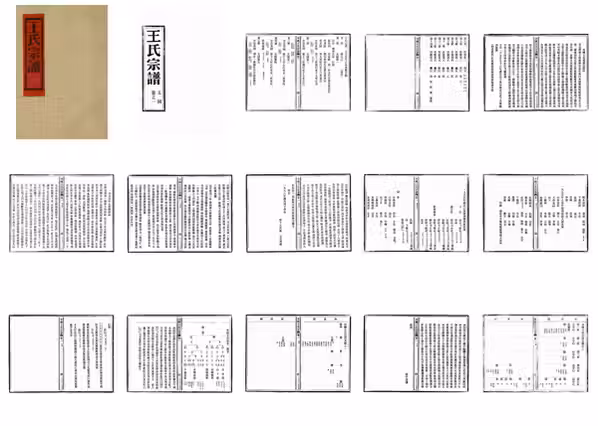 C0637_王氏_夹屿王氏宗谱_一.pdf[地方藏谱] – A更新 