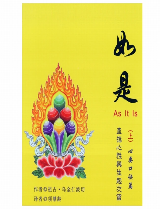 如是 实修问答篇(上下)插图 如是 实修问答篇(上下)插图