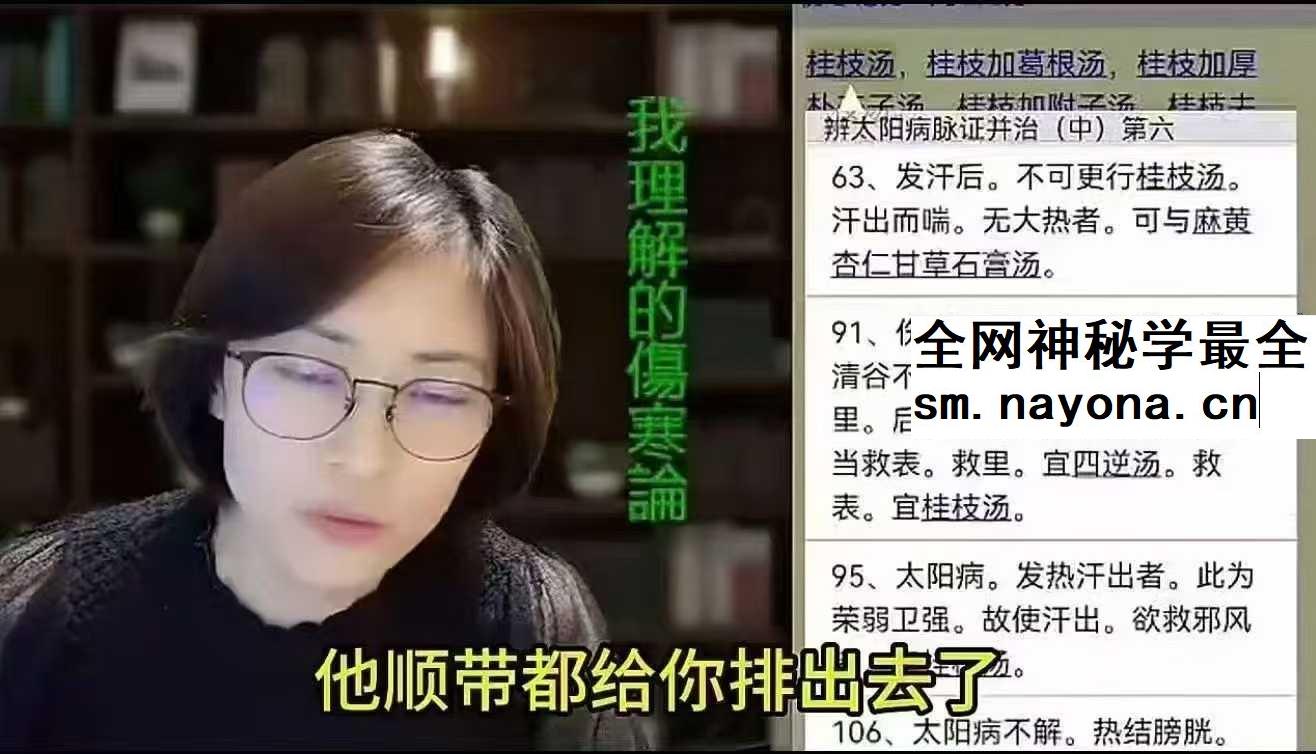 王大皮人人都能听懂的自学伤寒论48集