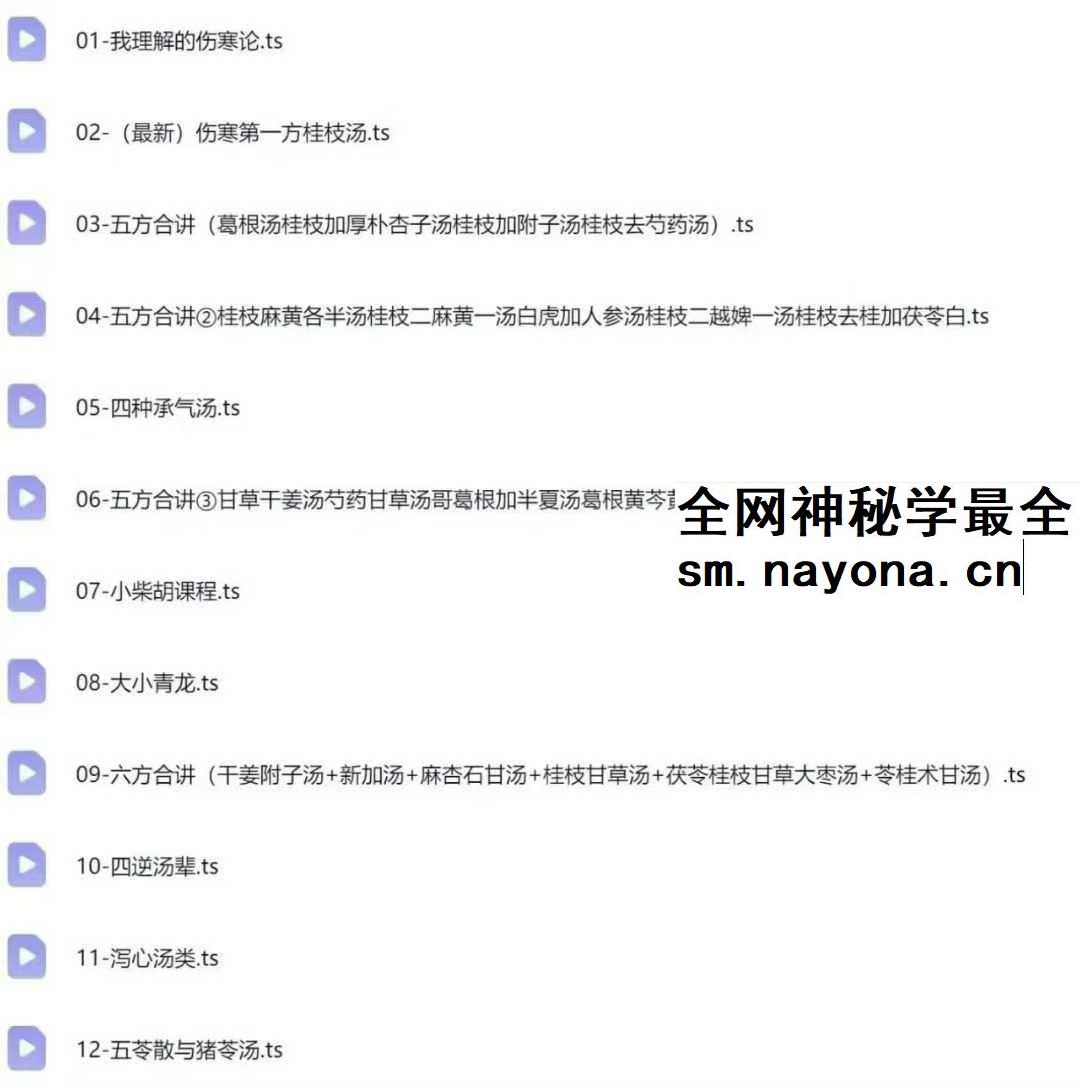 王大皮人人都能听懂的自学伤寒论48集