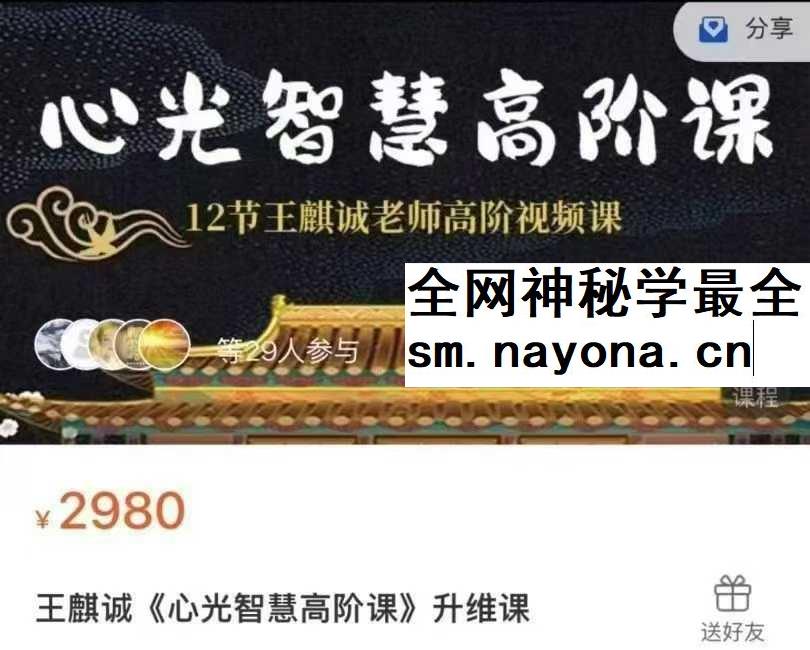 王麒诚 心光智慧高阶课 课程
