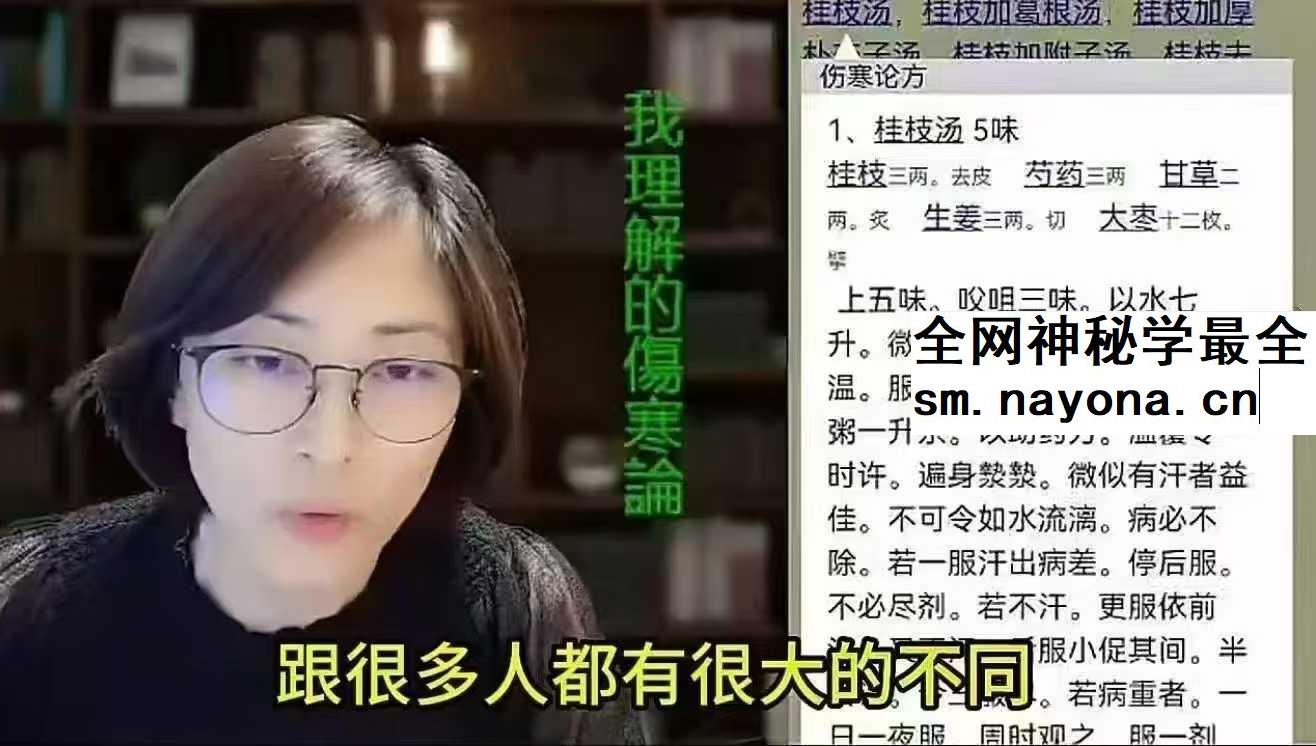 王大皮人人都能听懂的自学伤寒论48集