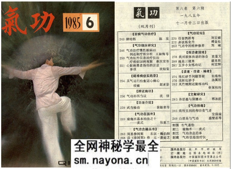 23 气功1985第六期.pdf