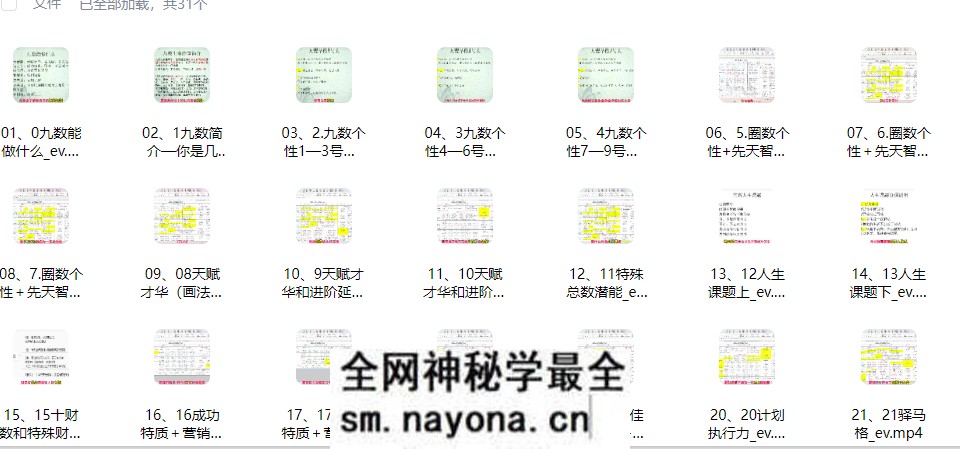 九数生命能量31集