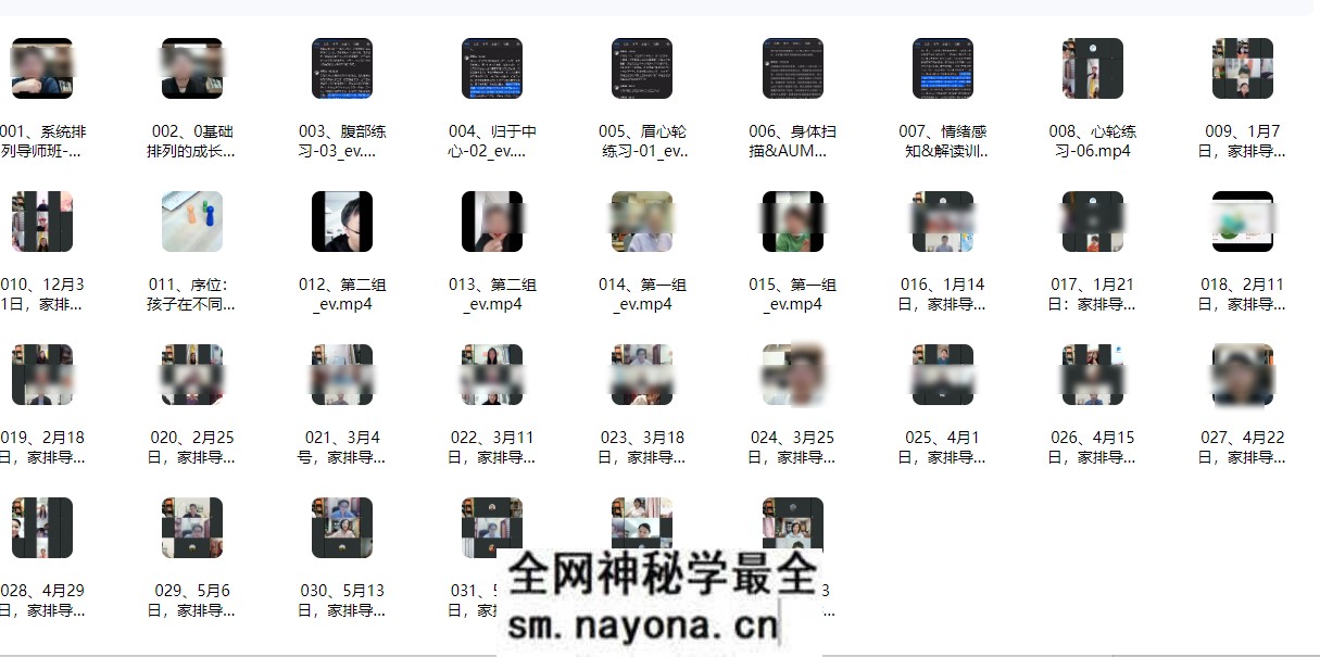【家排课程】元象文化系统排列导师班33集视频