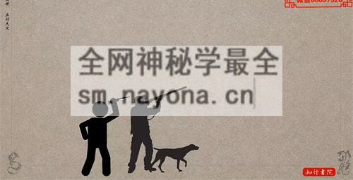 G1652谢大庆风水深入教学视频 29集全