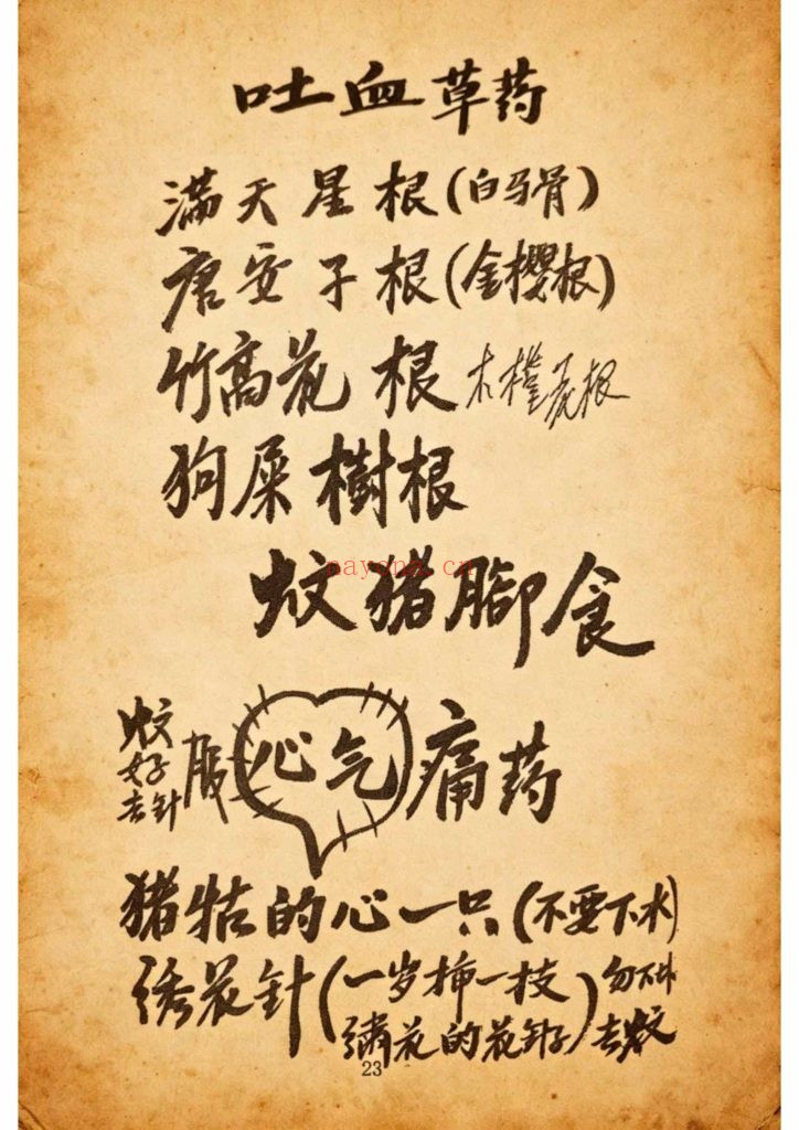 《跌打骨伤杂症单药方书》10