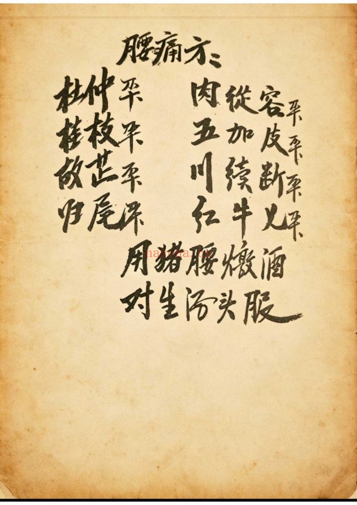 《跌打骨伤杂症单药方书》10