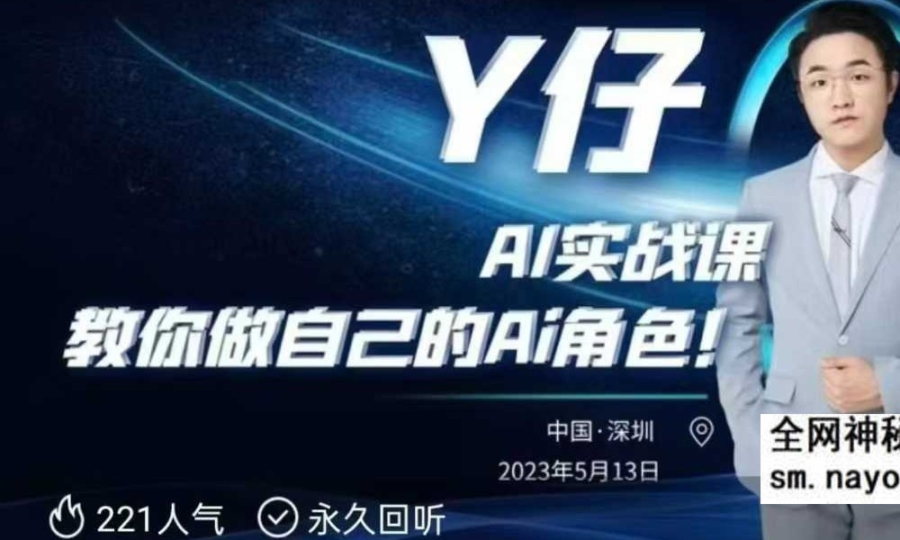 Y仔 ai线下实战课15集