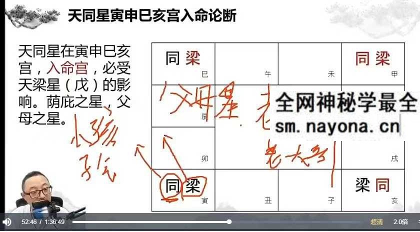 午阳紫薇斗数25集视频+课件