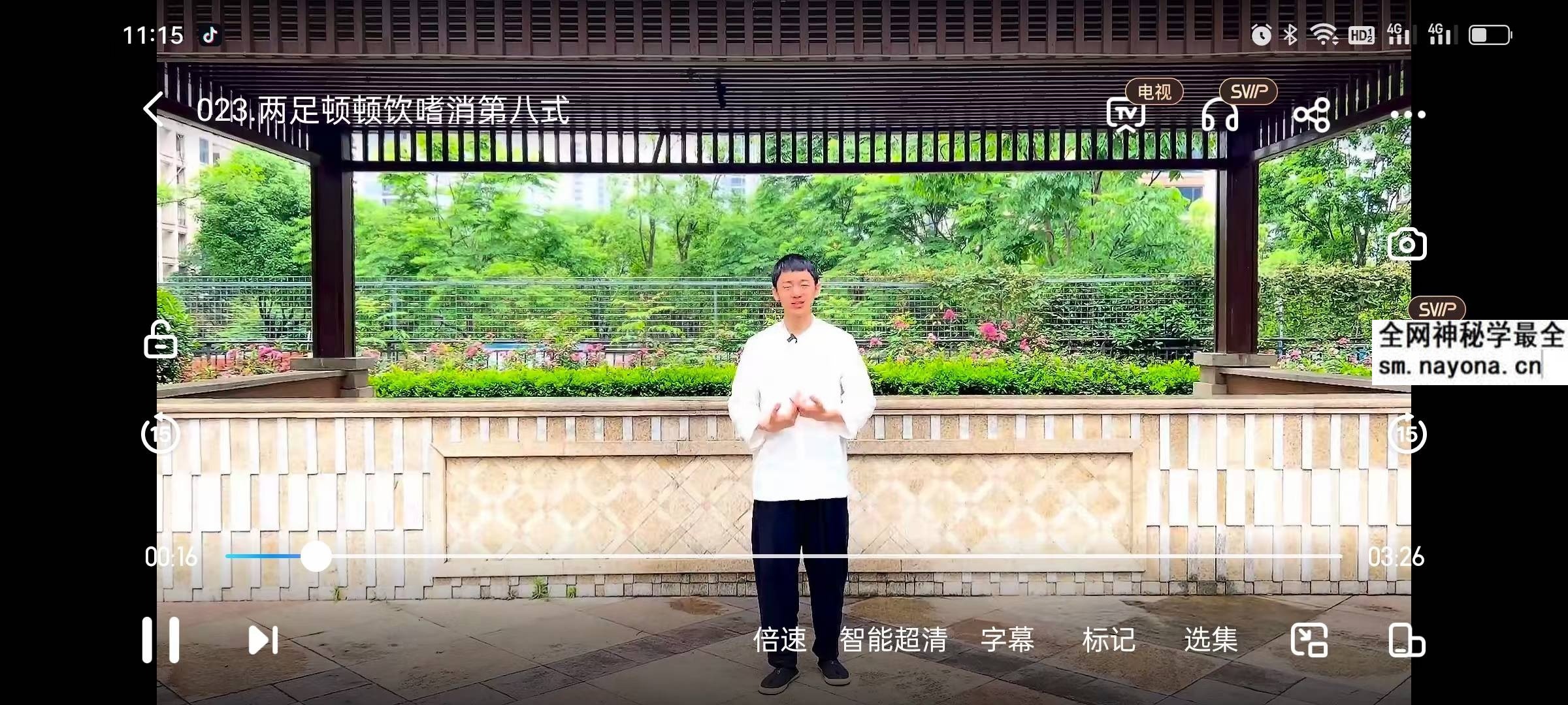 内传八部金刚功详细精讲28集教学