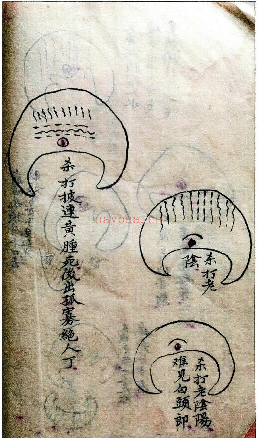 风水古籍《杨公五星地图》何周巨抄本101页(最后两页有破损) 国学古籍 第4张-古籍汇典 风水古籍《杨公五星地图》何周巨抄本101页(最后两页有破损) 国学古籍 第4张